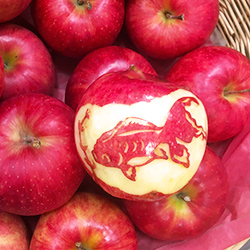 フルーツカービングのデザイン（リンゴ金魚）