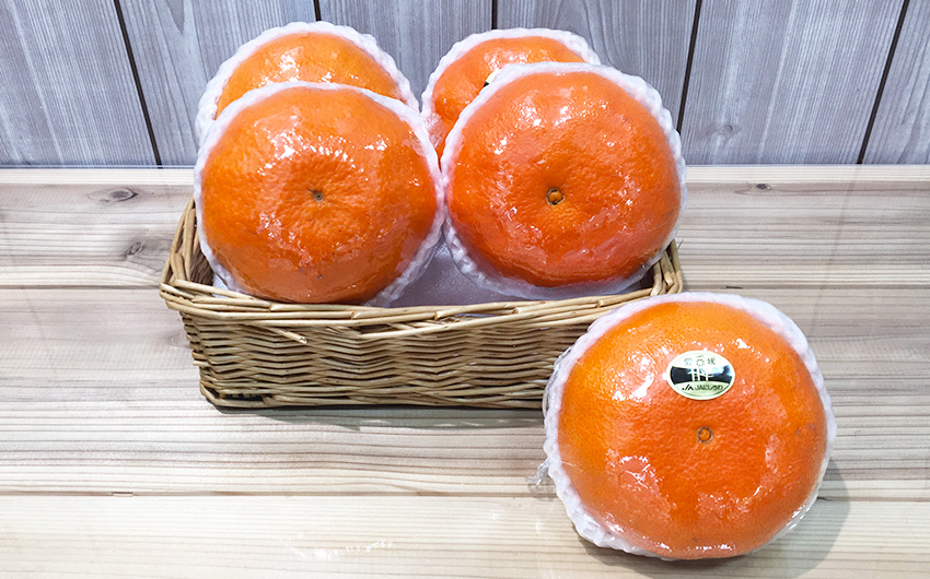 愛媛県産 甘平（かんぺい）