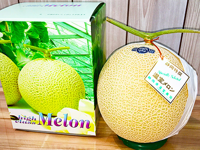 お中元ギフト静岡マスクメロン