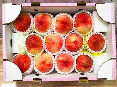 お中元ギフト山梨県産一宮白鳳