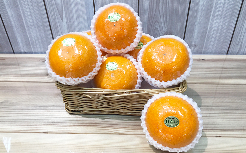 佐賀県産 せとか