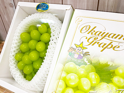 お中元ギフト岡山県産シャインマスカット