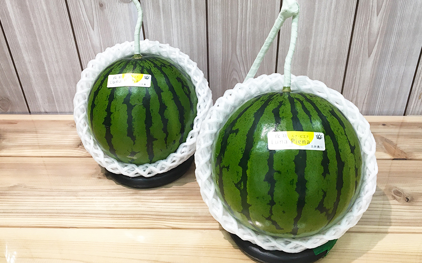 高知県産 ルナピエナ(温室スイカ)